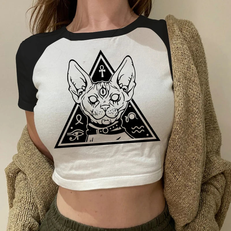 49765793890578|49765793923346|49765793956114