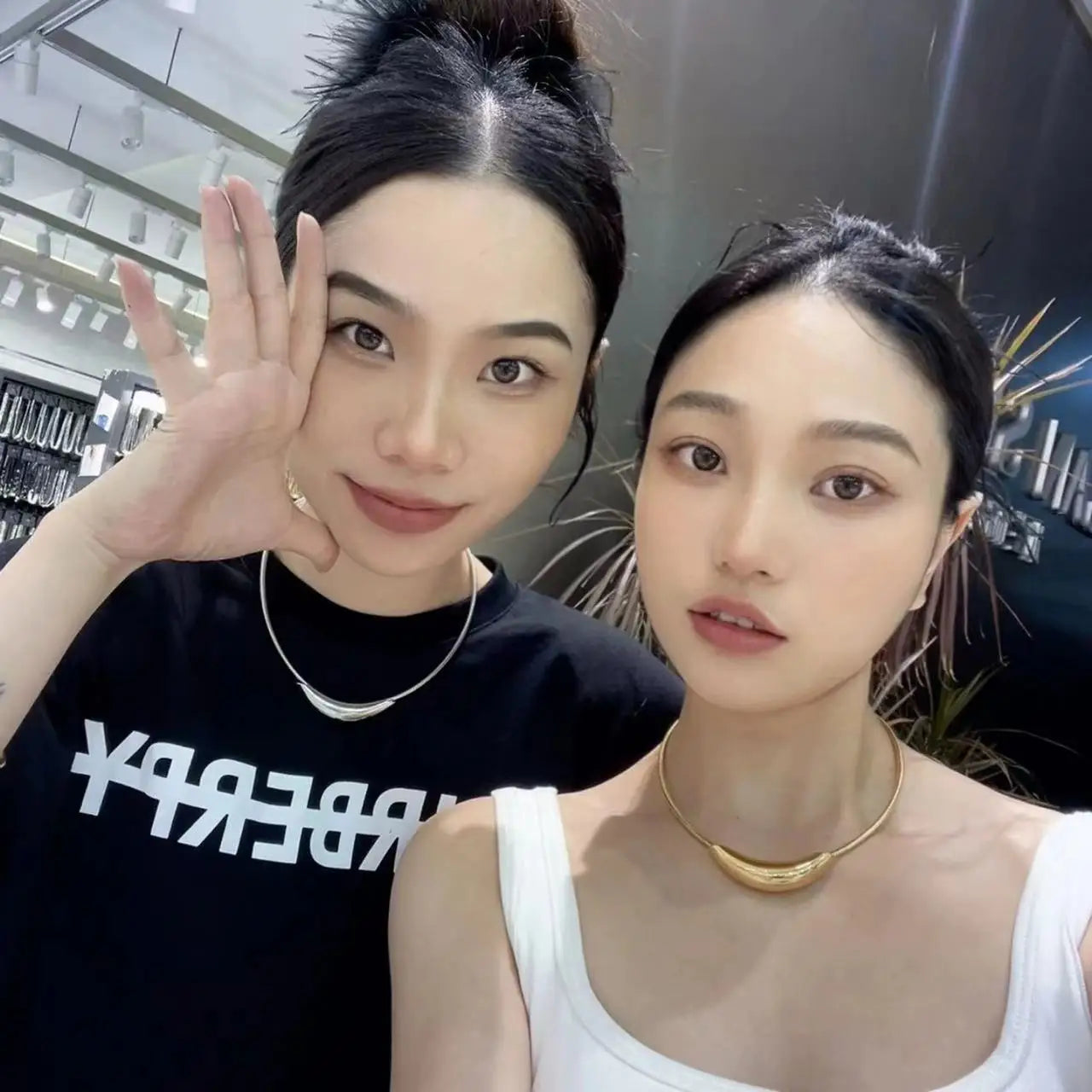 French Retro Metal Snake Bone Chain Collar