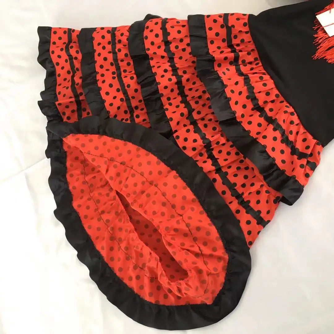 Spanish Flamenco Dancer Costume for Girls