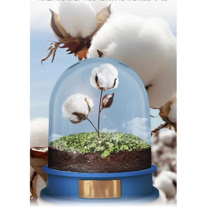 Women’s Daisy &amp; Sunflower Print T-Shirt | Loose Short Sleeve Oversized Tee