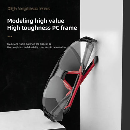 ROCKBROS Polarized Cycling Glasses