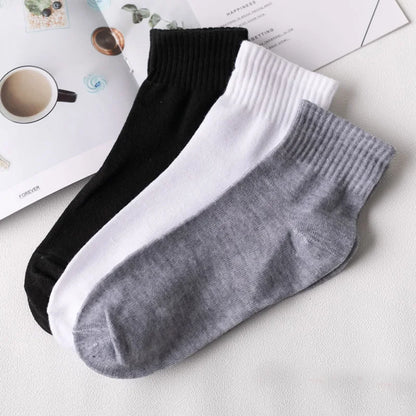 Office Casual Business Socks for All Seasons
