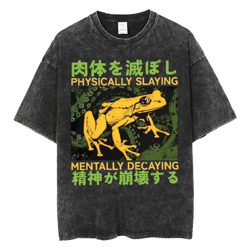 Retro Frog Print Oversized T-Shirt | Funny Japanese Style Tee