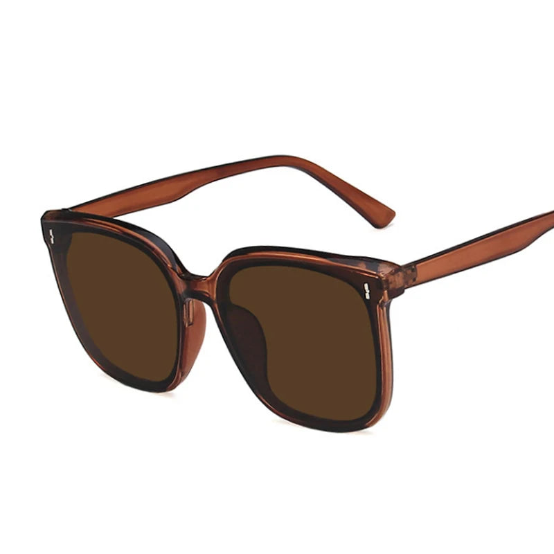 Luxury Square Cat Eye Sunglasses for Women